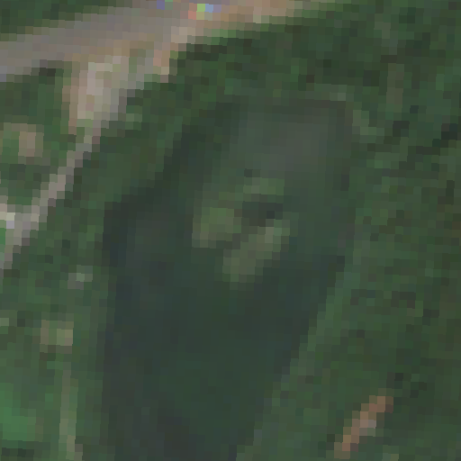 Sentinel-2-Aufnahme des Schlossteich vom 04. August 2026