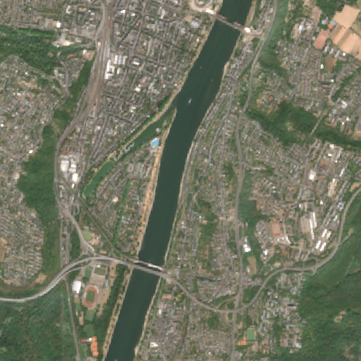 Sentinel-2-Aufnahme des Schwanenteich vom 03. August 2026
