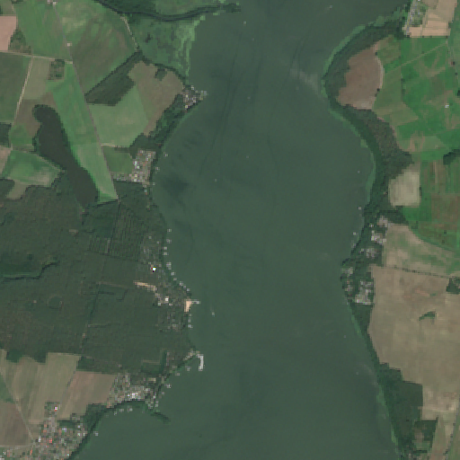 Sentinel-2-Aufnahme des Schwielochsee vom 03. August 2026