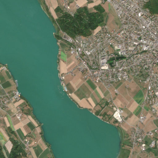 Sentinel-2-Aufnahme des Stadtparkweiher vom 08. August 2026