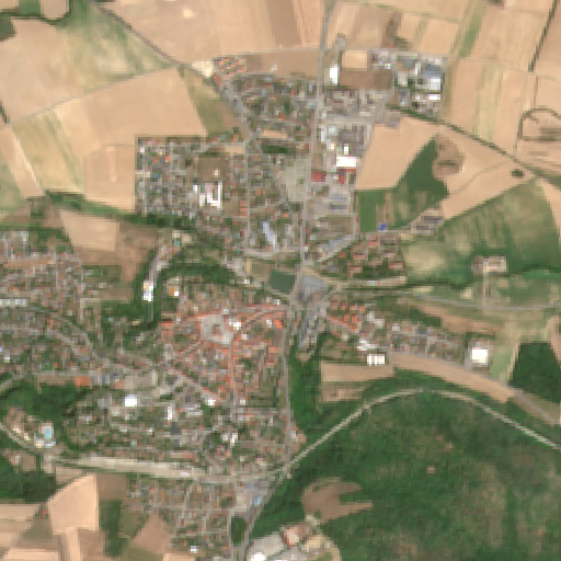 Sentinel-2-Aufnahme des Stadtteich vom 04. August 2026