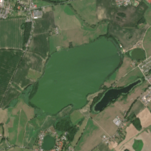Sentinel-2-Aufnahme des Sülzphul vom 14. Juli 2026