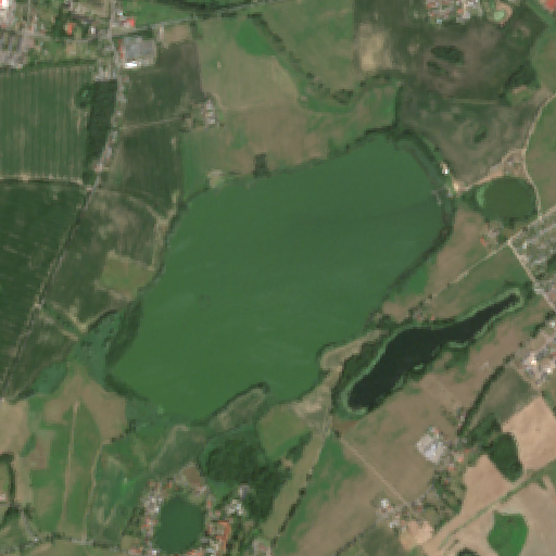 Sentinel-2-Aufnahme des Sülzphul vom 14. Juli 2026