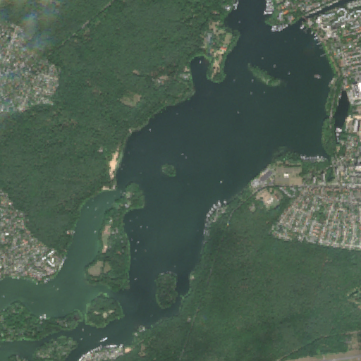 Sentinel-2-Aufnahme des Tegeler See vom 05. August 2026