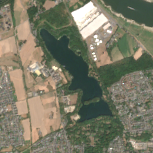 Sentinel-2-Aufnahme des Uettelsheimer See vom 04. August 2026