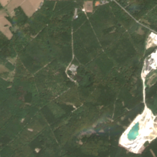 Sentinel-2-Aufnahme des Waldsee Argenthal vom 04. August 2026