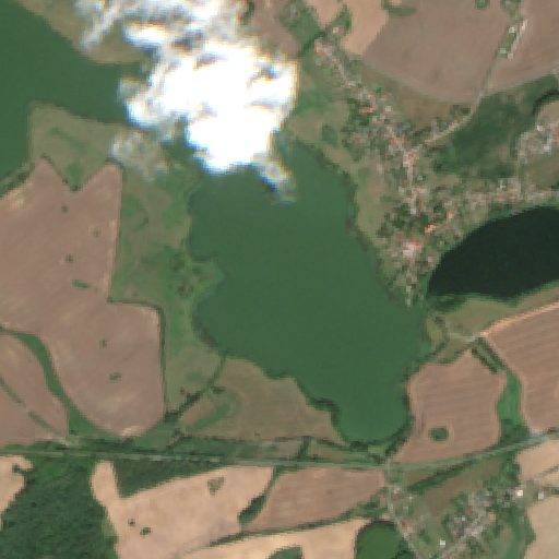 Sentinel-2-Aufnahme des Wanzkaer See vom 05. August 2026