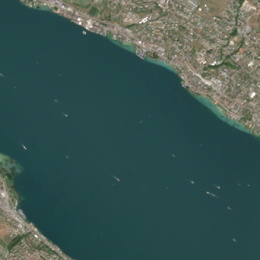Sentinel-2-Aufnahme des Zürichsee vom 08. August 2026